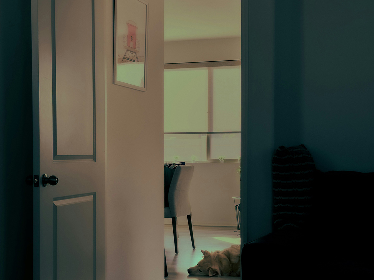 Ahşap İç Kapı İstanbul