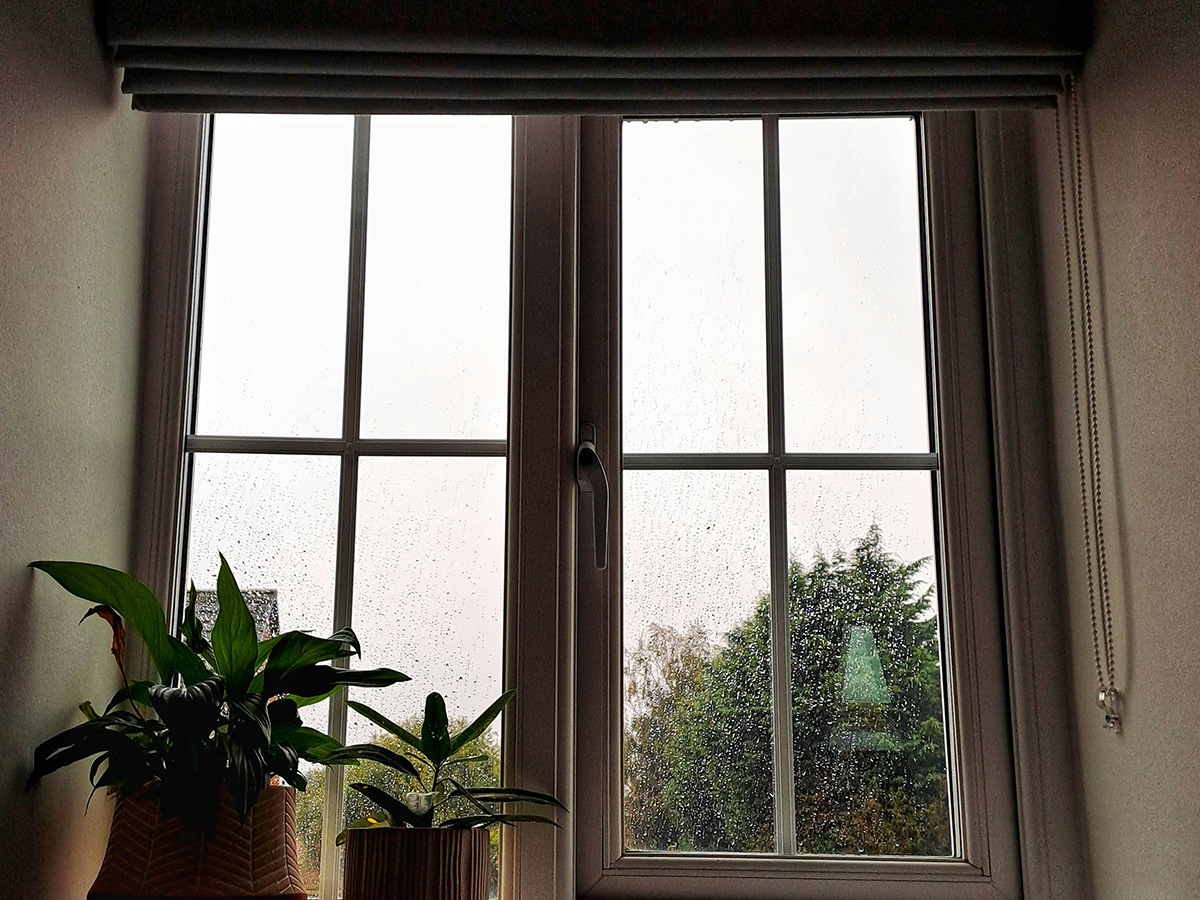 Pencere